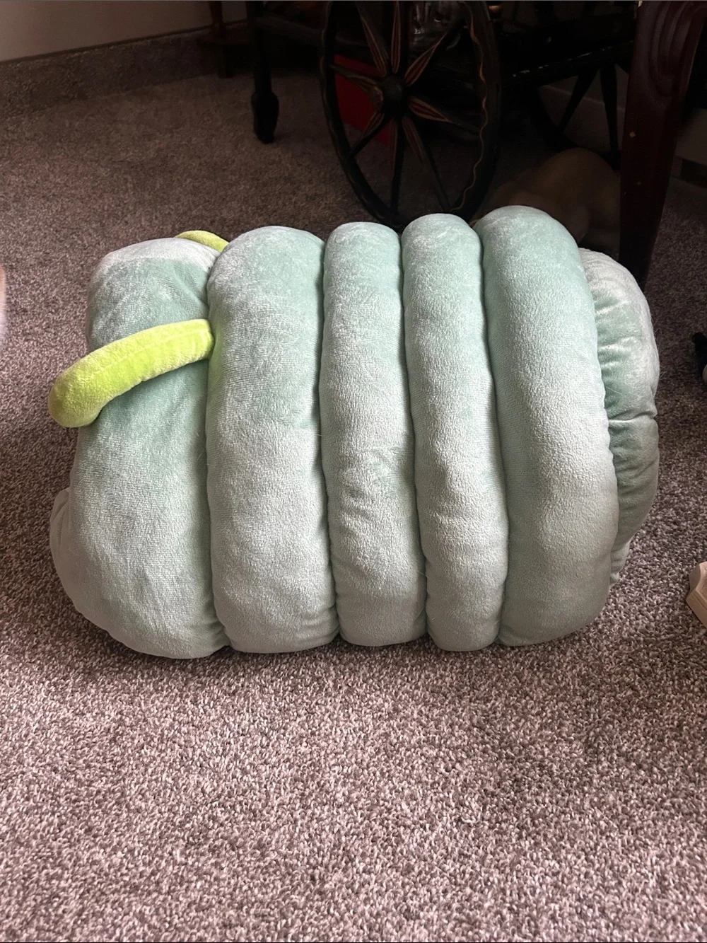 Cute caterpillar pet cave